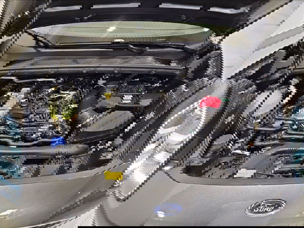 Ford Puma usata a Palermo (20)