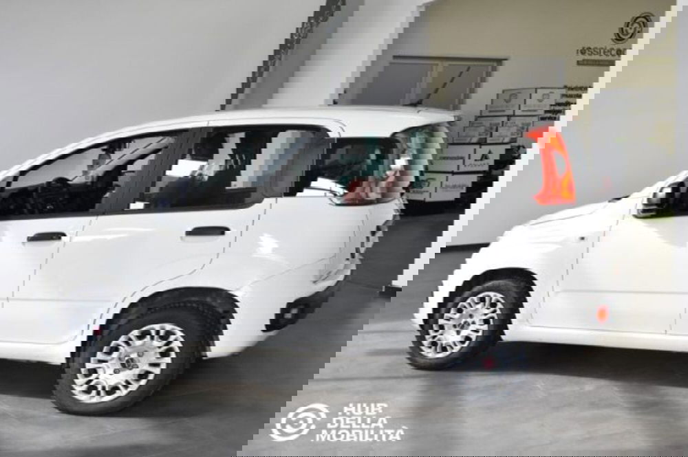 Fiat Panda usata a Perugia (3)