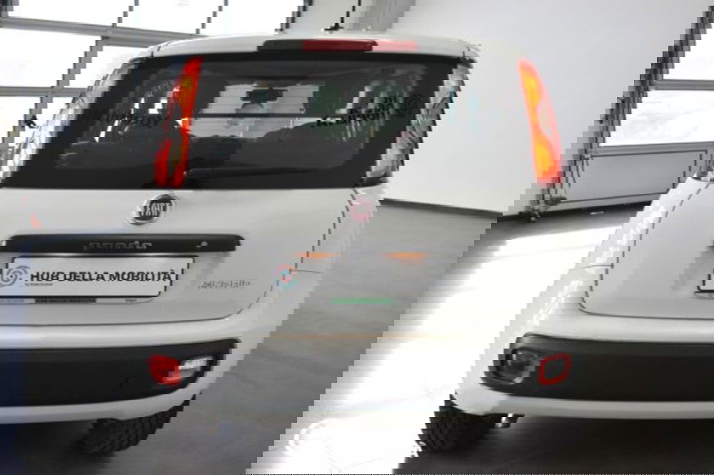 Fiat Panda usata a Perugia (4)