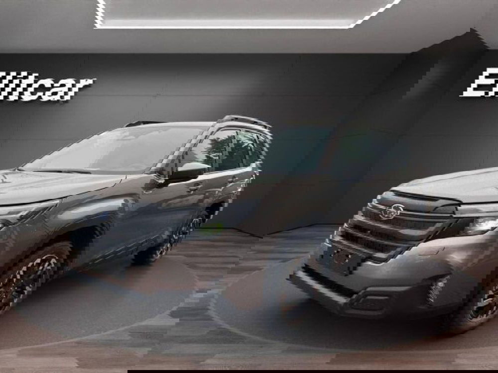 Subaru Forester nuova a Novara