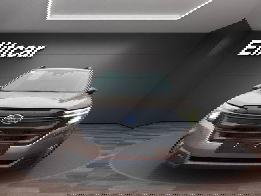 Subaru Forester nuova a Novara (8)