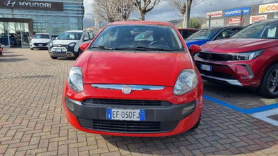 Fiat Punto Evo 1.2 5 porte S&amp;S Active del 2010 usata a Savona