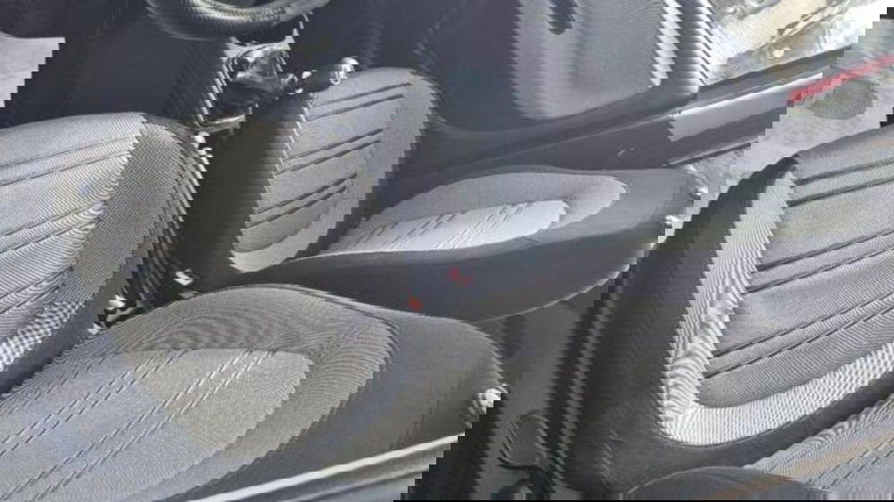 Fiat Punto Evo usata a Savona (16)