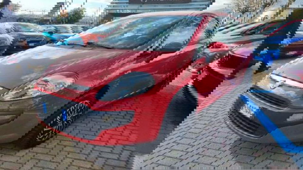 Fiat Punto Evo usata a Savona (2)