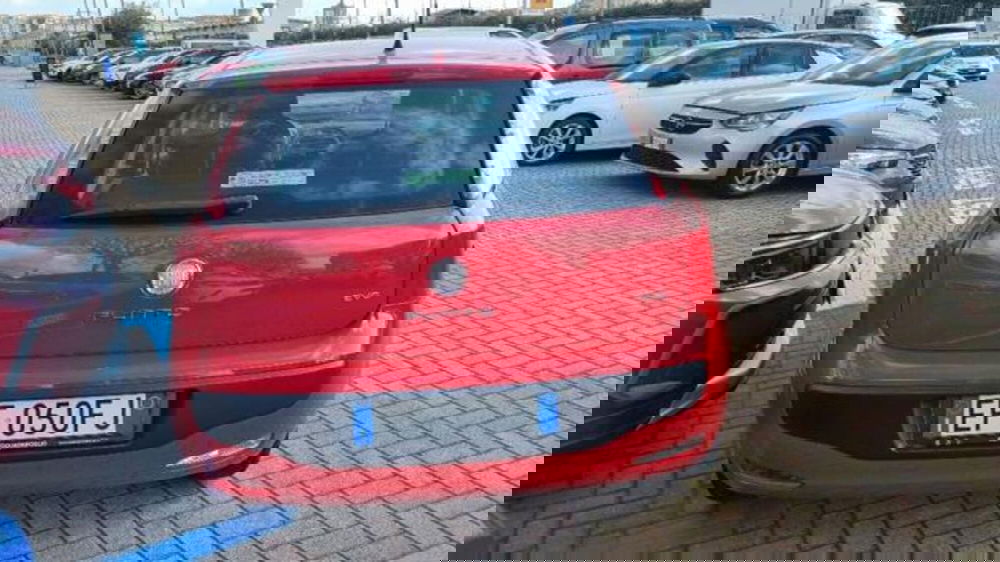 Fiat Punto Evo usata a Savona (6)