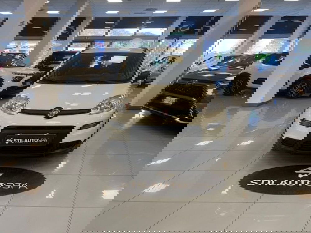Fiat Panda usata a Prato (2)