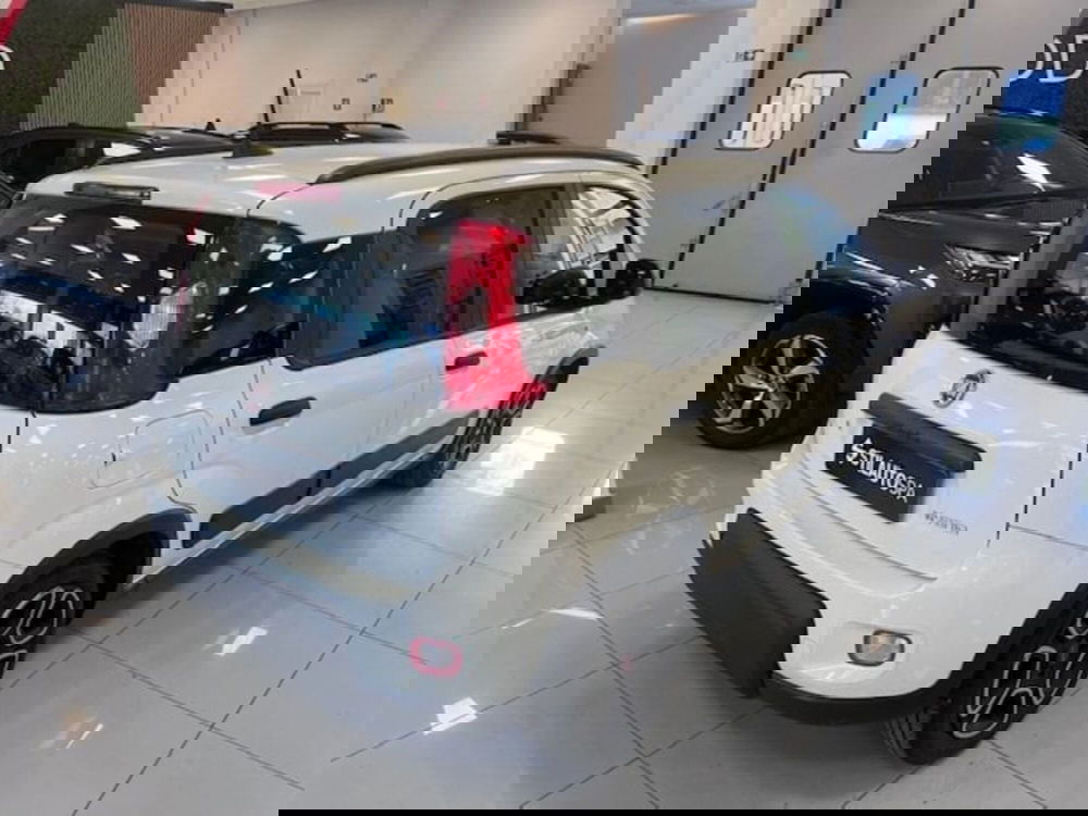 Fiat Panda usata a Prato (4)