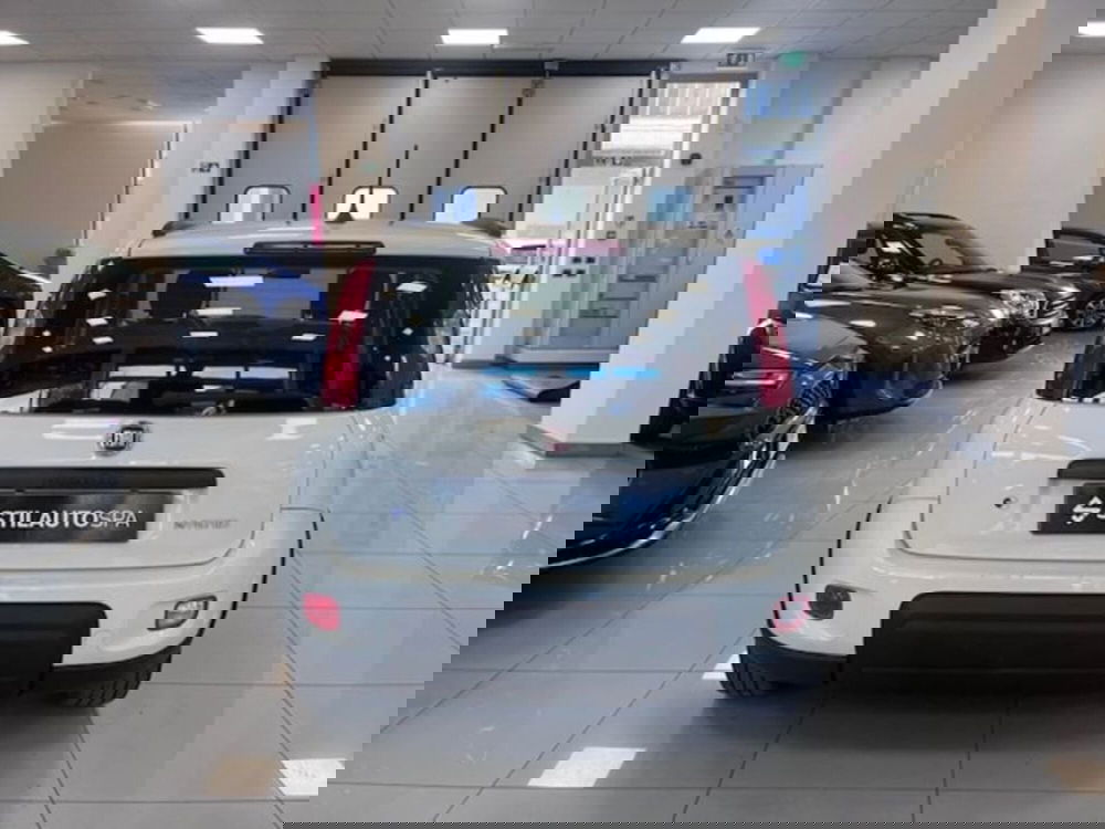 Fiat Panda usata a Prato (5)