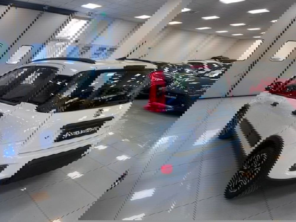 Fiat Panda usata a Prato (6)