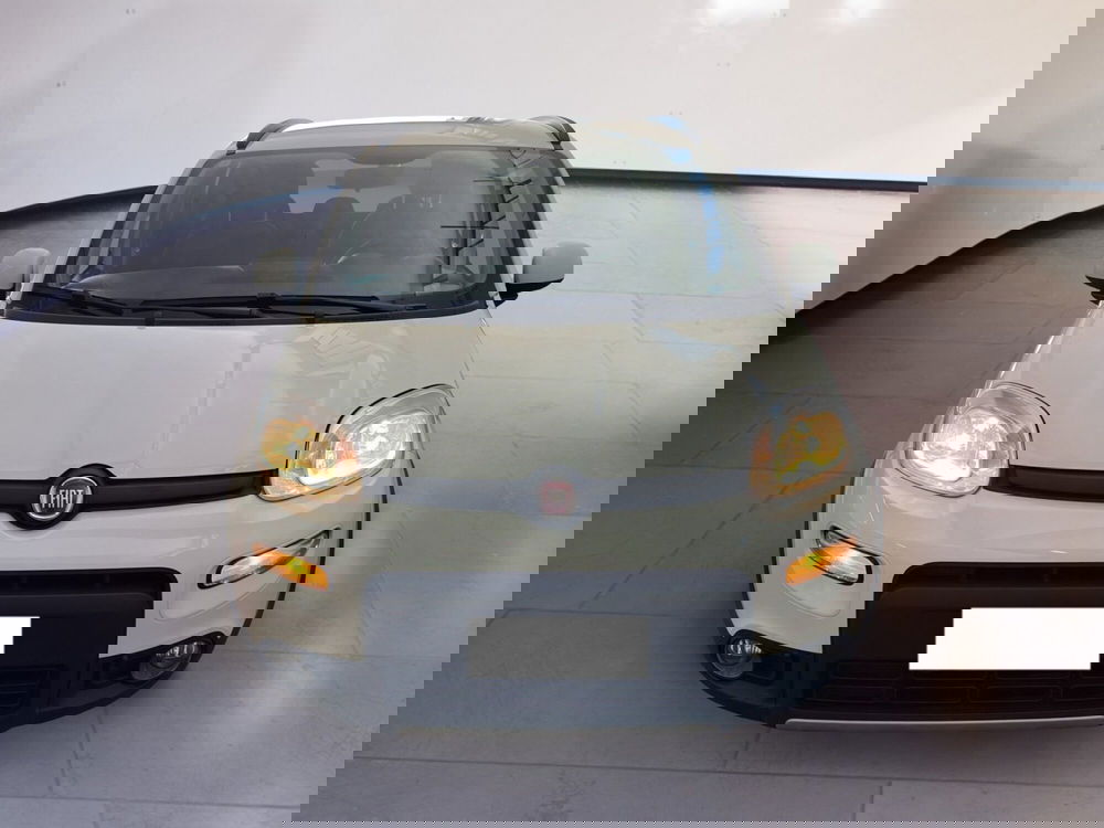 Fiat Panda usata a Torino