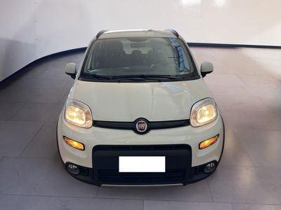 Fiat Panda 1.0 FireFly S&amp;S Hybrid City Cross del 2023 usata a Torino