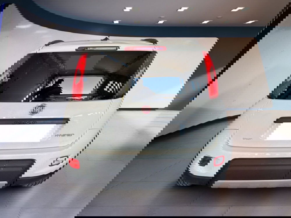 Fiat Panda usata a Torino (5)