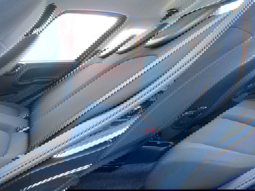 Fiat Pandina nuova a Monza e Brianza (17)