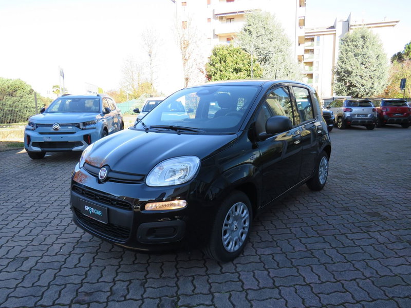 Fiat Pandina nuova a Monza e Brianza (7)