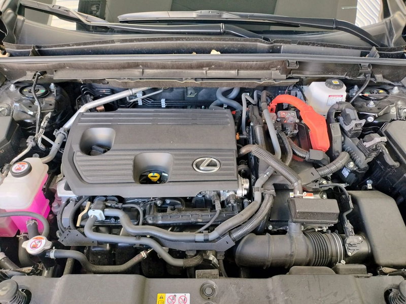 Lexus NX usata a Modena (18)