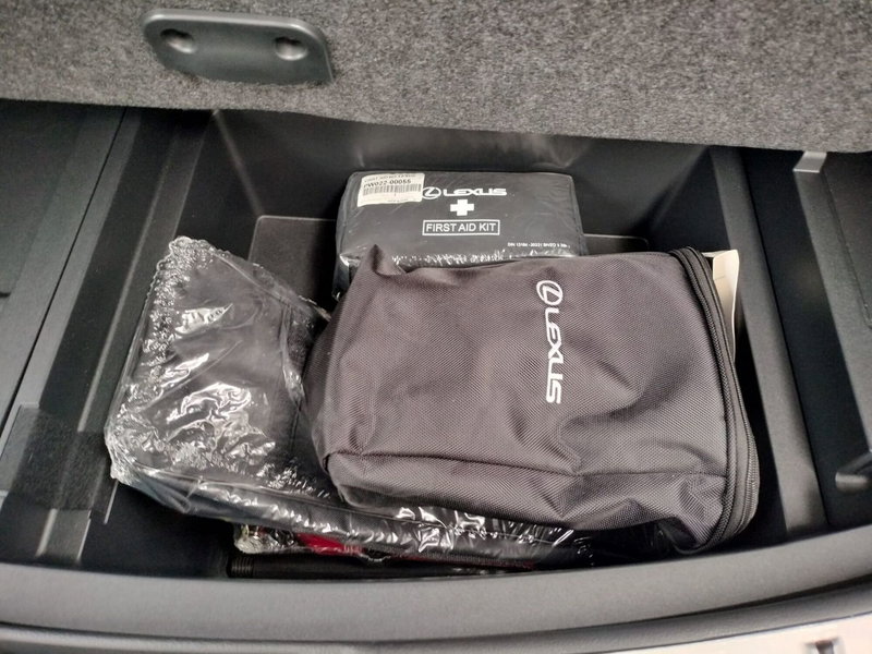 Lexus NX usata a Modena (19)