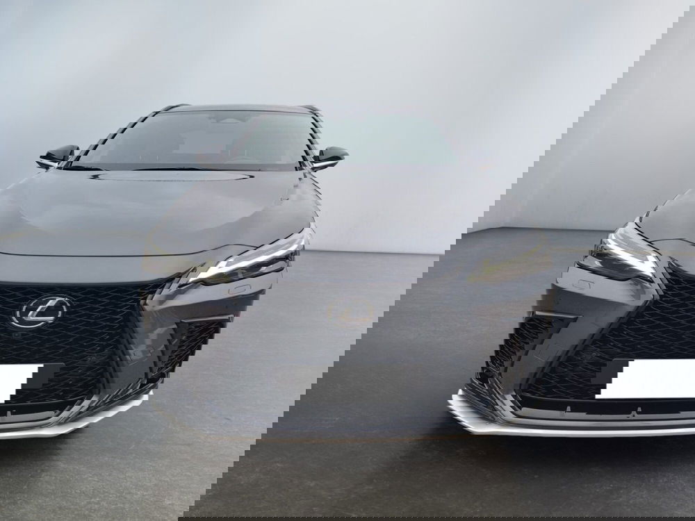 Lexus NX usata a Modena (2)