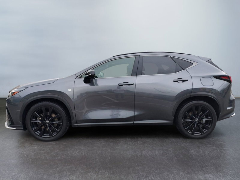Lexus NX usata a Modena (3)