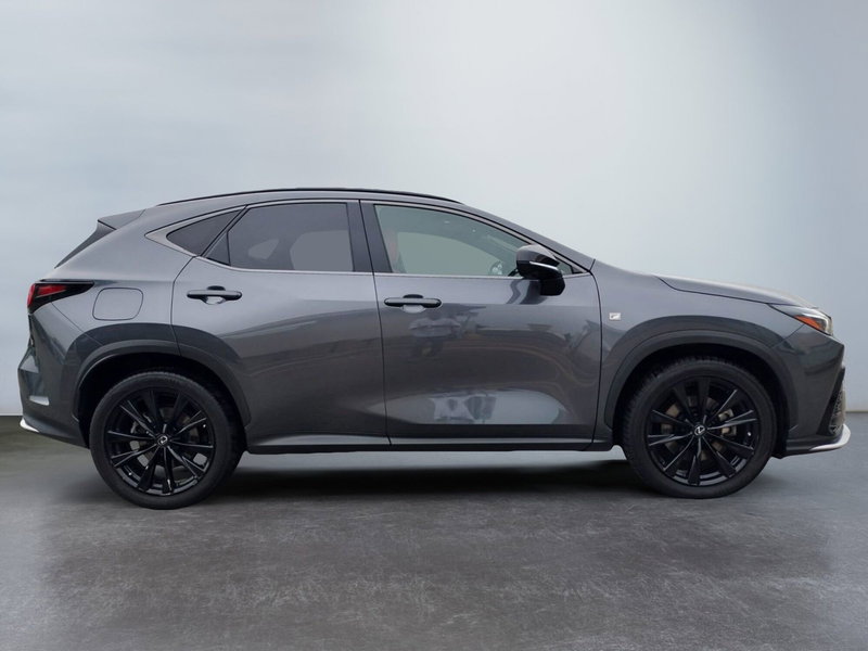 Lexus NX usata a Modena (4)