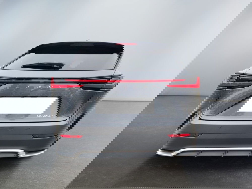 Lexus NX usata a Modena (5)