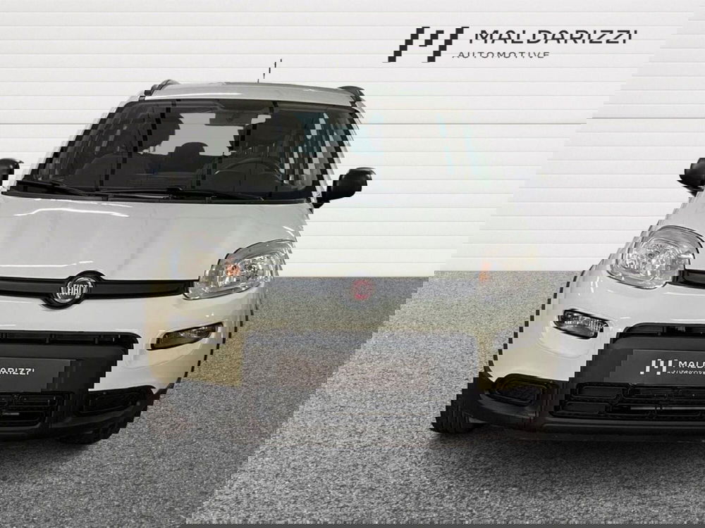 Fiat Panda usata a Bari (2)