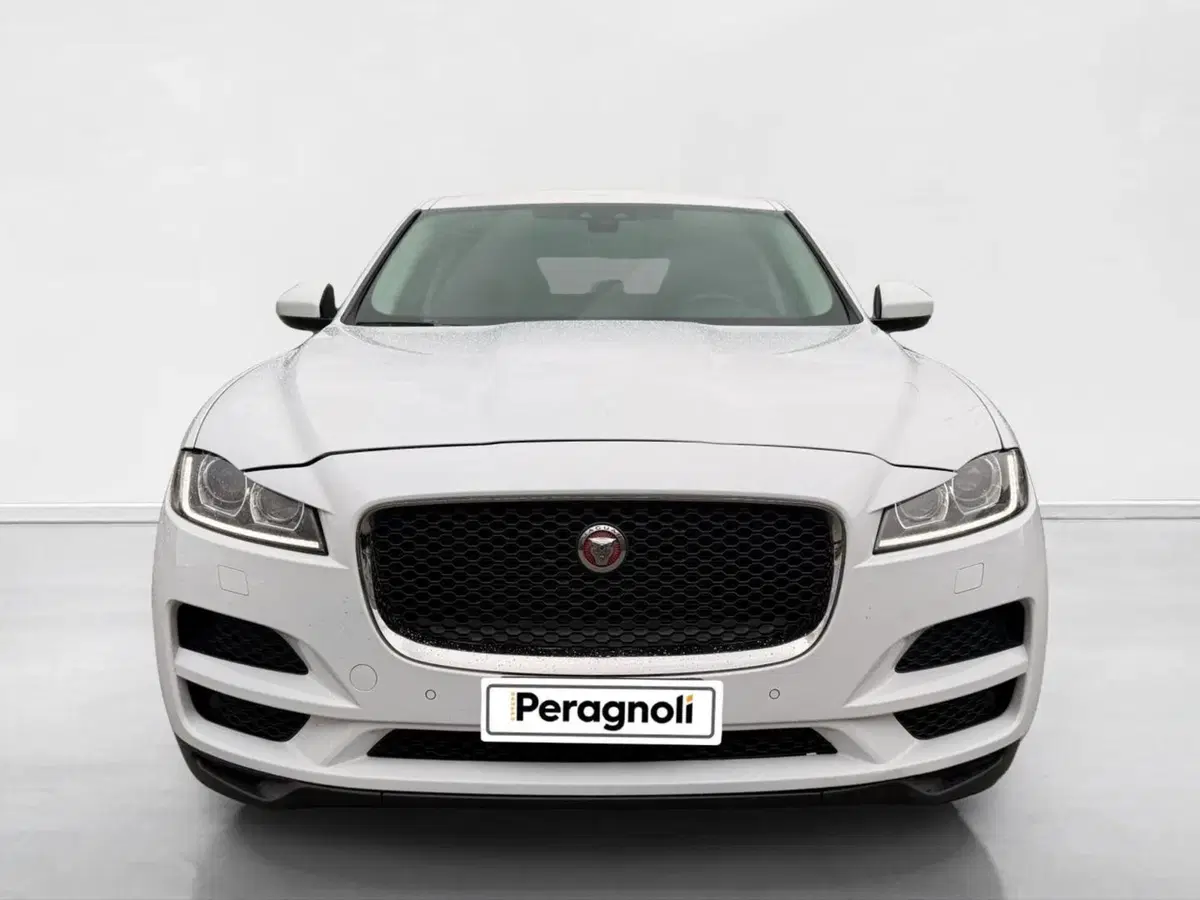 Jaguar F-Pace usata a Siena (8)
