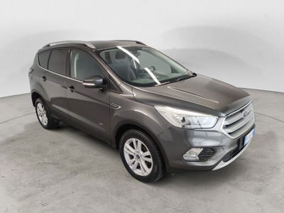 Ford Kuga 2.0 TDCI 150 CV S&amp;S 4WD Business del 2019 usata a Arezzo