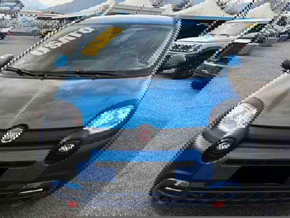 Fiat Panda usata a Torino (2)