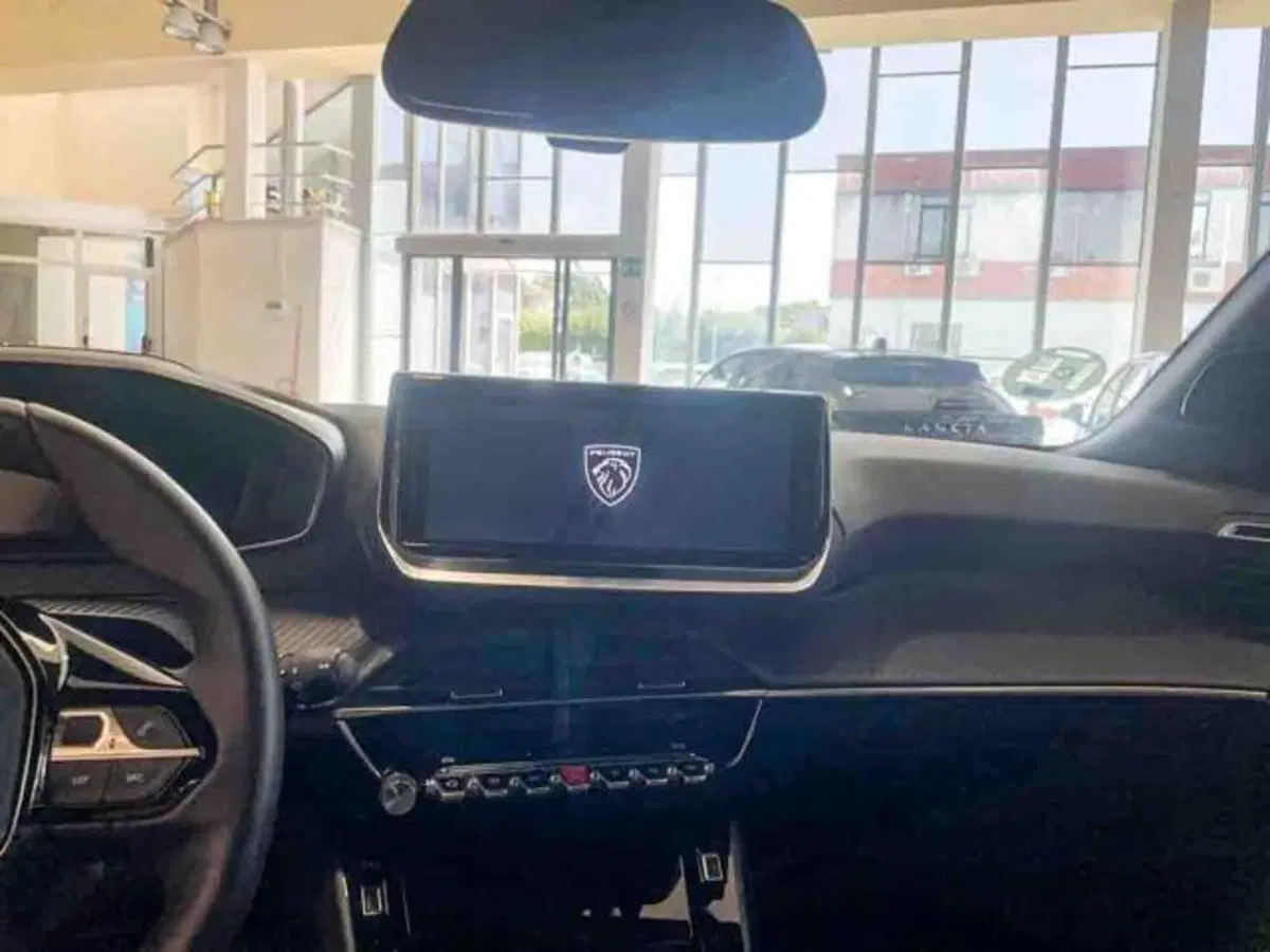 Peugeot 2008 usata a Torino (11)