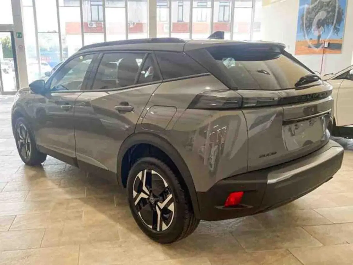 Peugeot 2008 usata a Torino (6)
