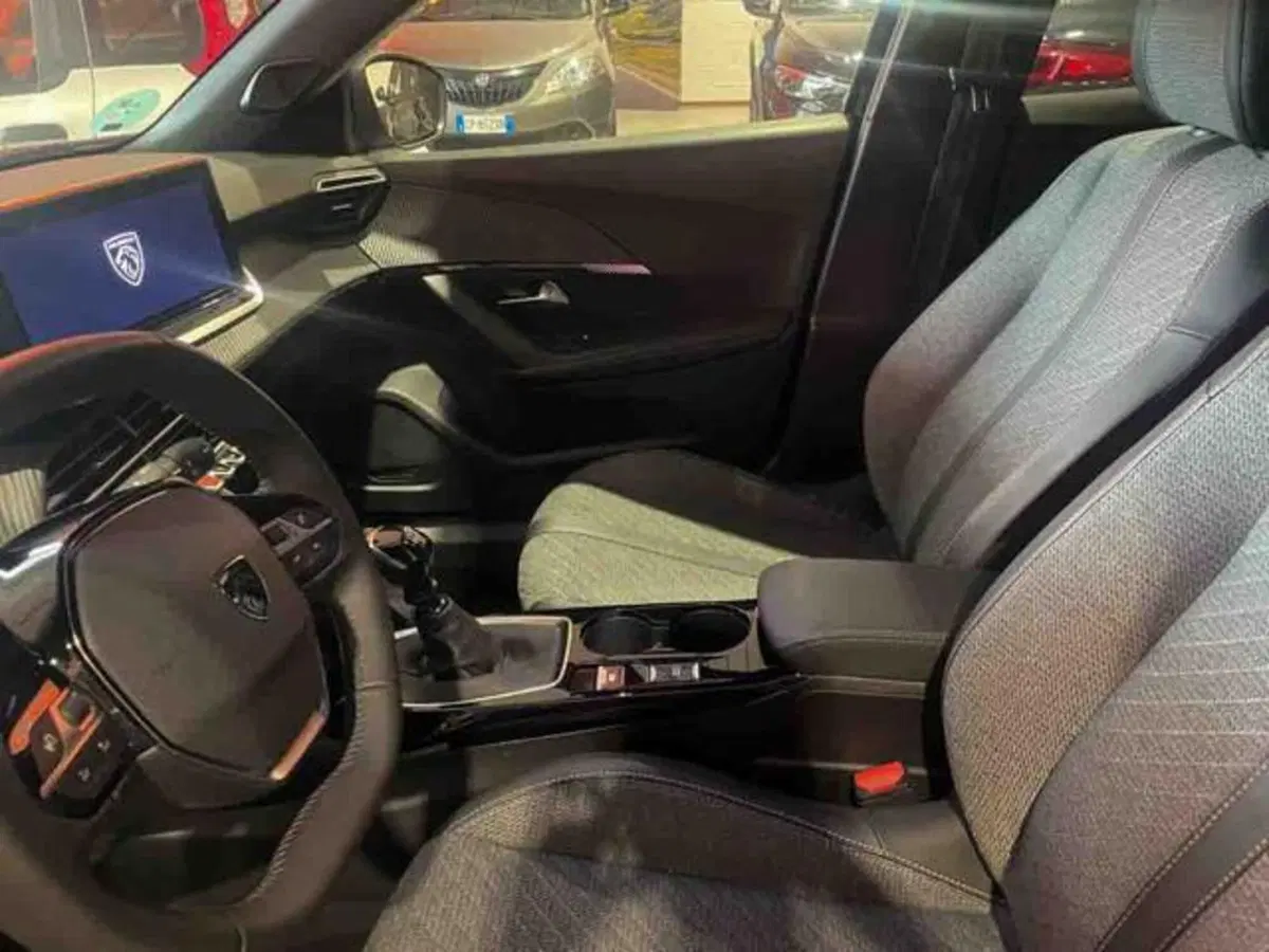 Peugeot 2008 usata a Torino (11)