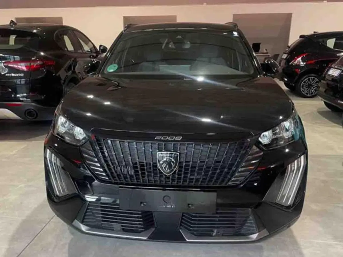 Peugeot 2008 usata a Torino (2)