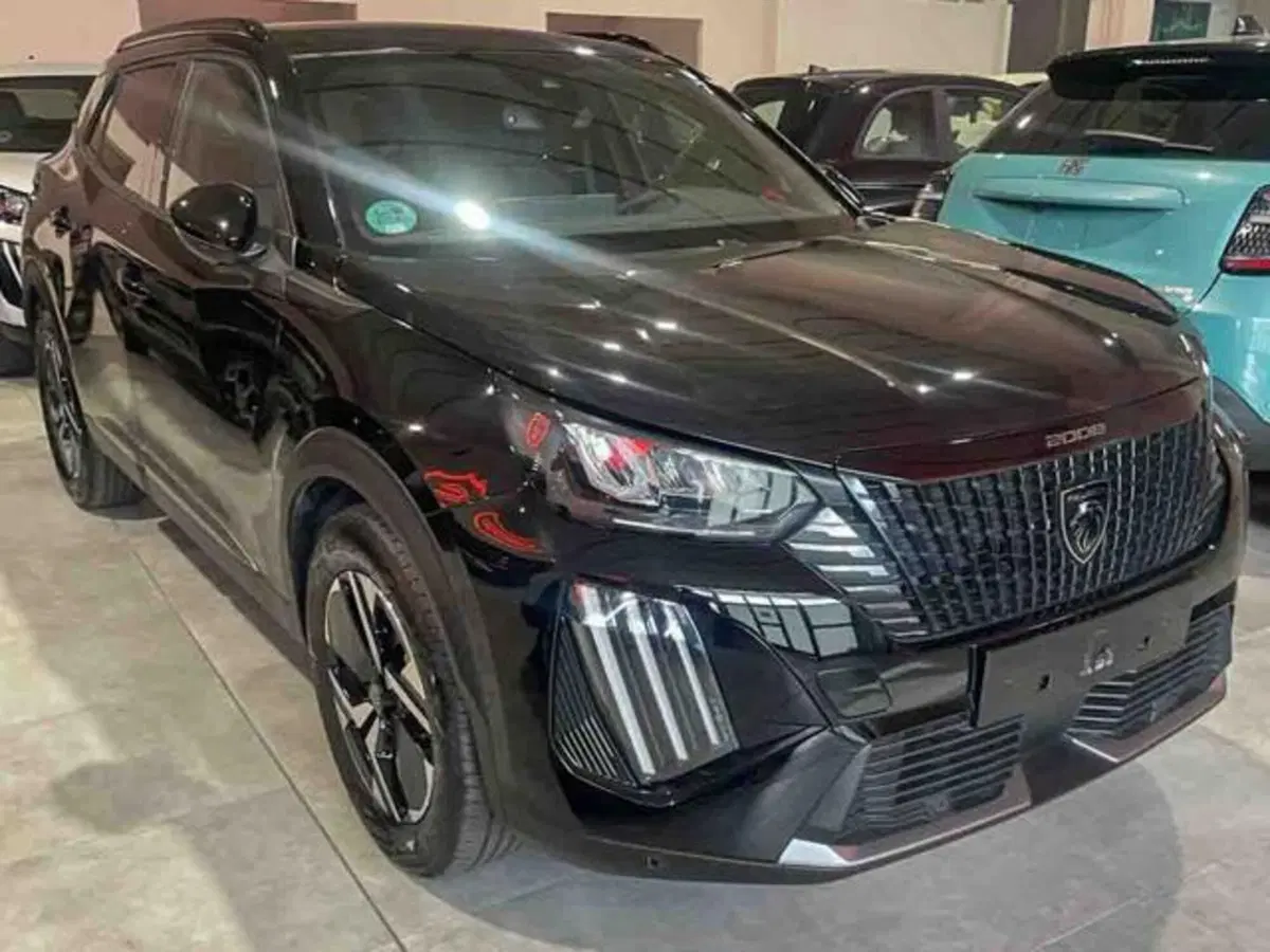 Peugeot 2008 usata a Torino (3)
