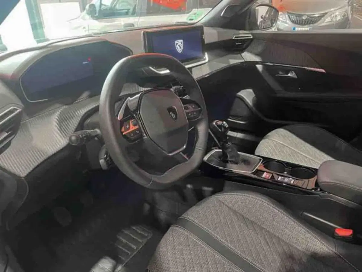 Peugeot 2008 usata a Torino (9)