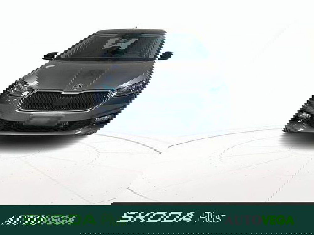 Skoda Fabia usata a Vicenza (2)