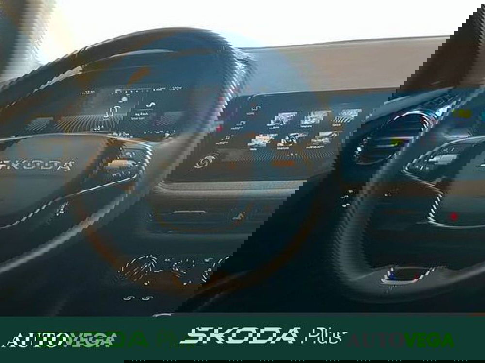 Skoda Fabia usata a Vicenza (9)