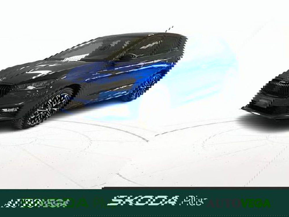 Skoda Fabia usata a Vicenza