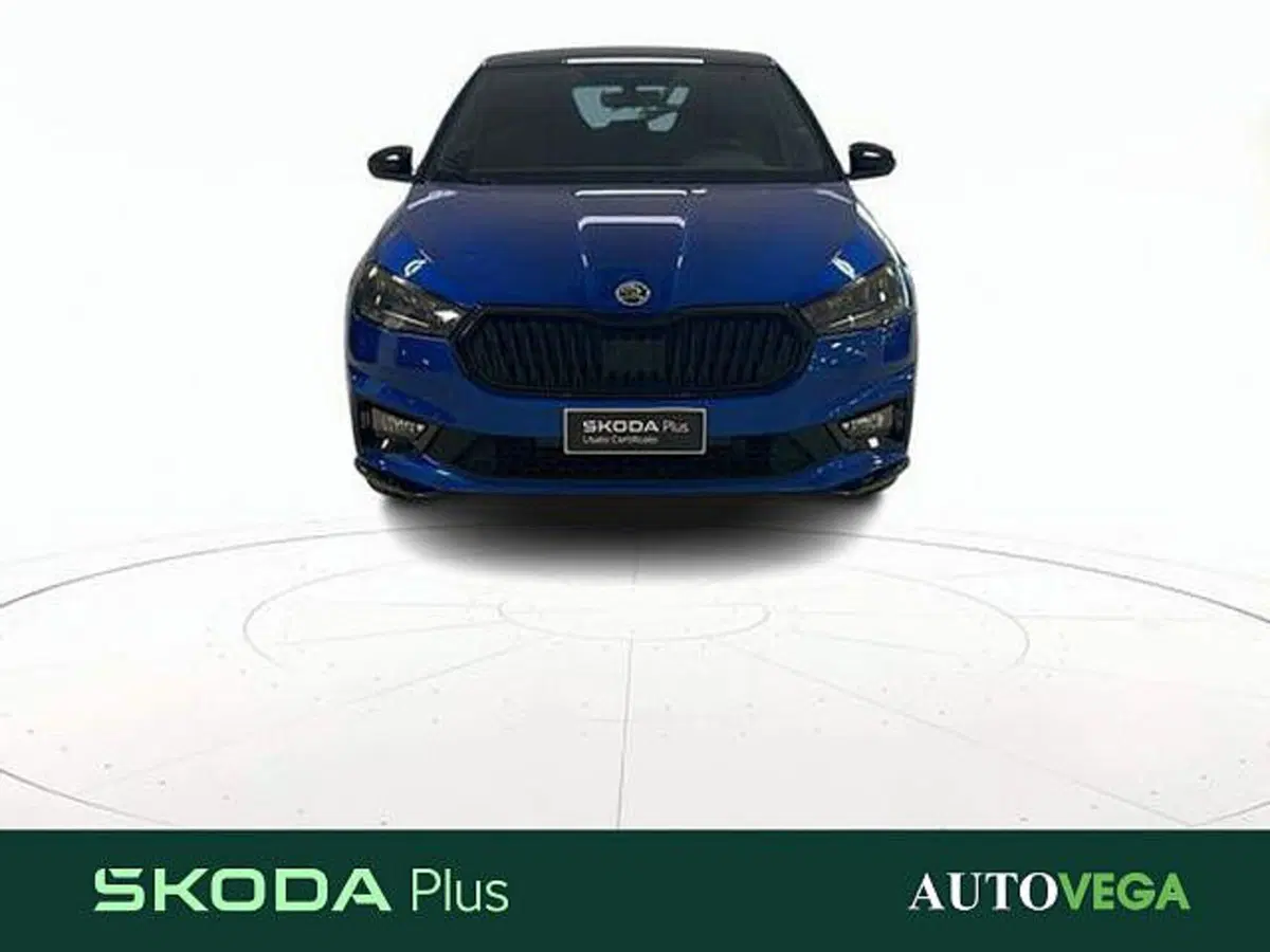 Skoda Fabia usata a Vicenza (2)