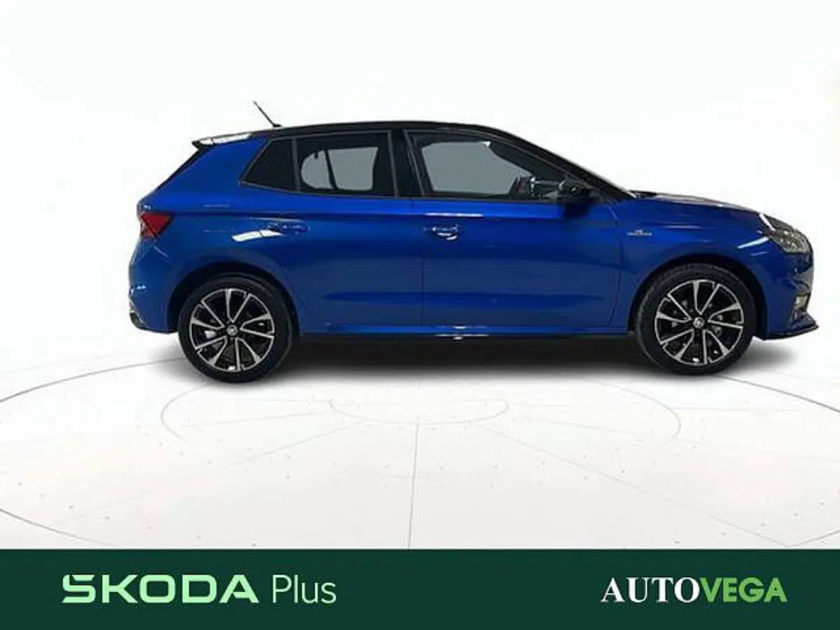 Skoda Fabia usata a Vicenza (3)