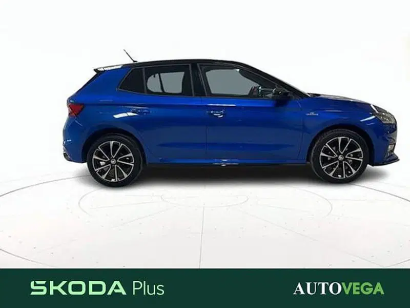 Skoda Fabia usata a Vicenza (3)