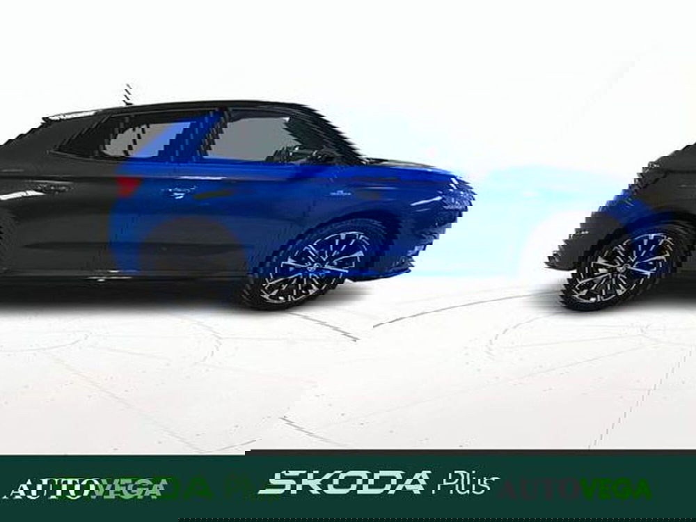 Skoda Fabia usata a Vicenza (3)