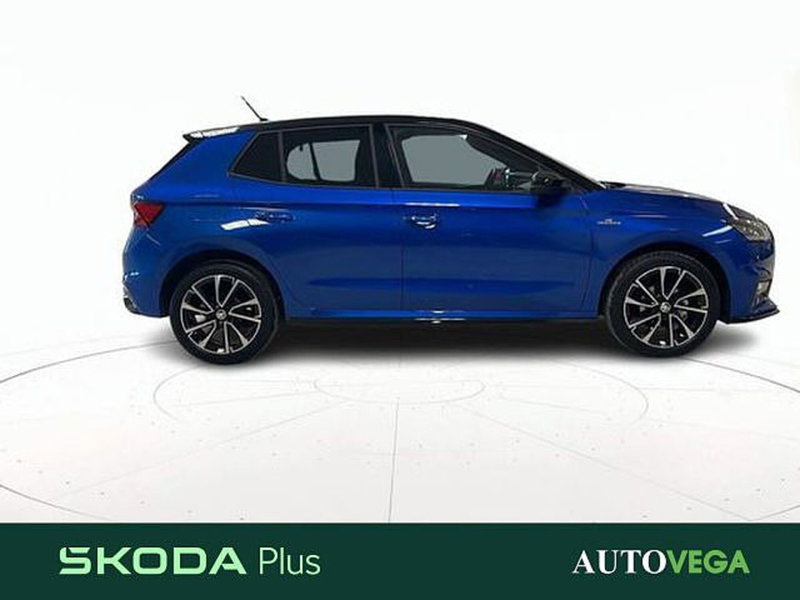 Skoda Fabia usata a Vicenza (3)