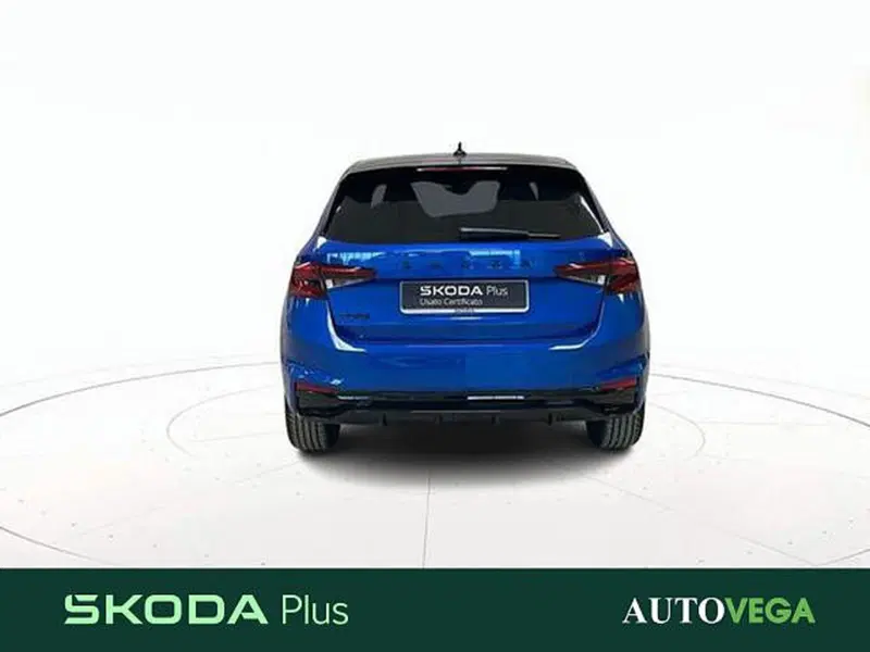 Skoda Fabia usata a Vicenza (5)