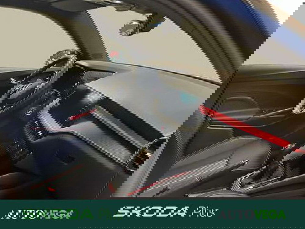 Skoda Fabia usata a Vicenza (6)