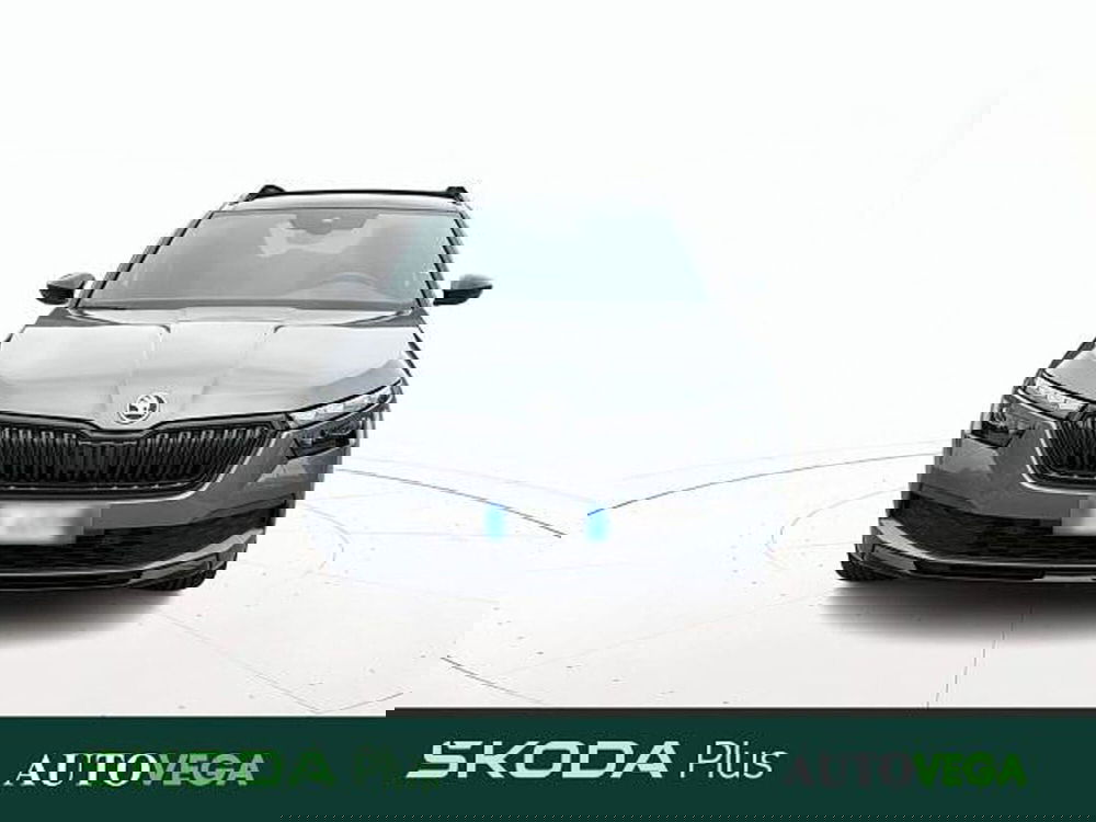 Skoda Kamiq usata a Vicenza (2)
