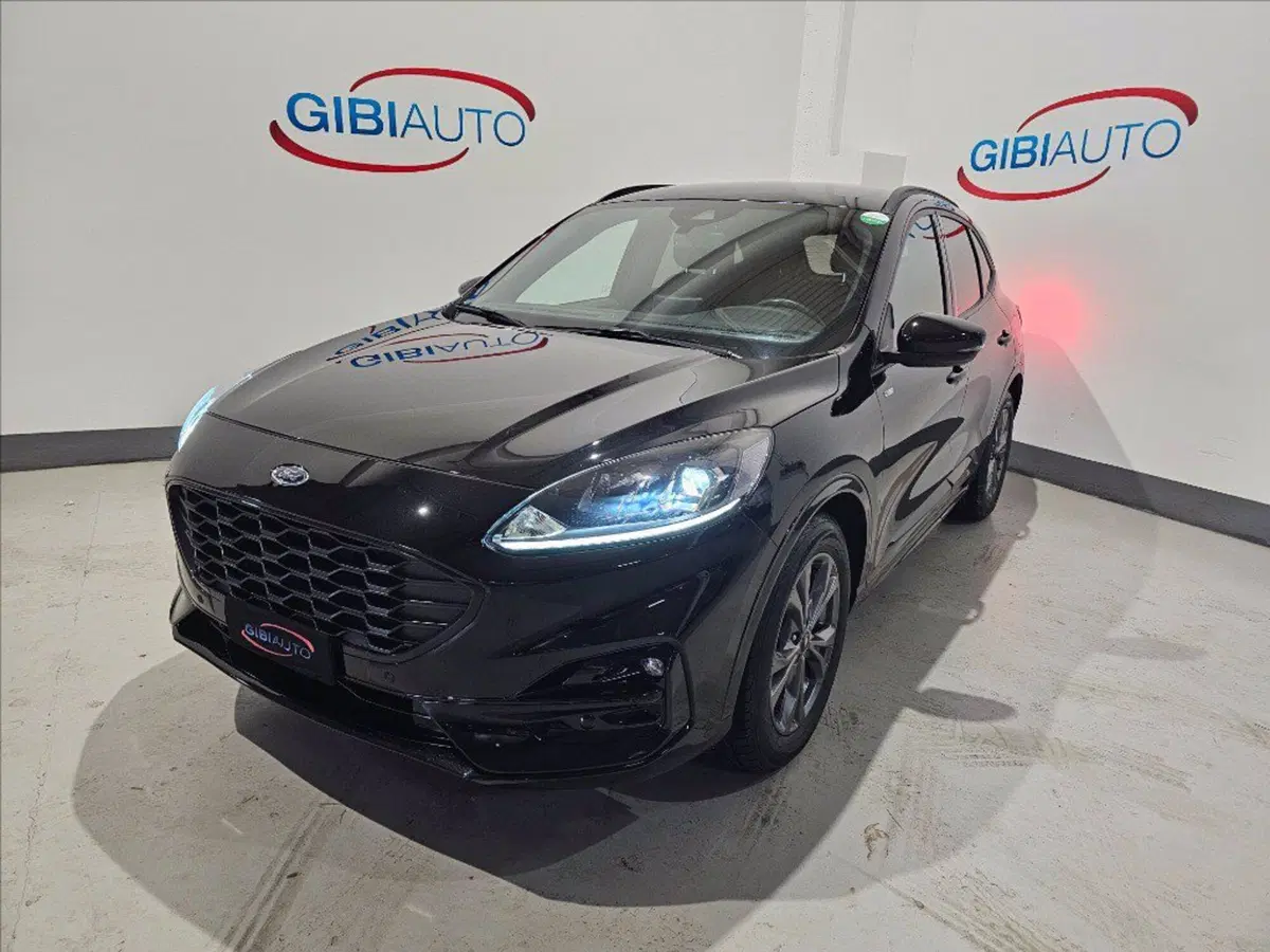Ford Kuga usata a Palermo (4)