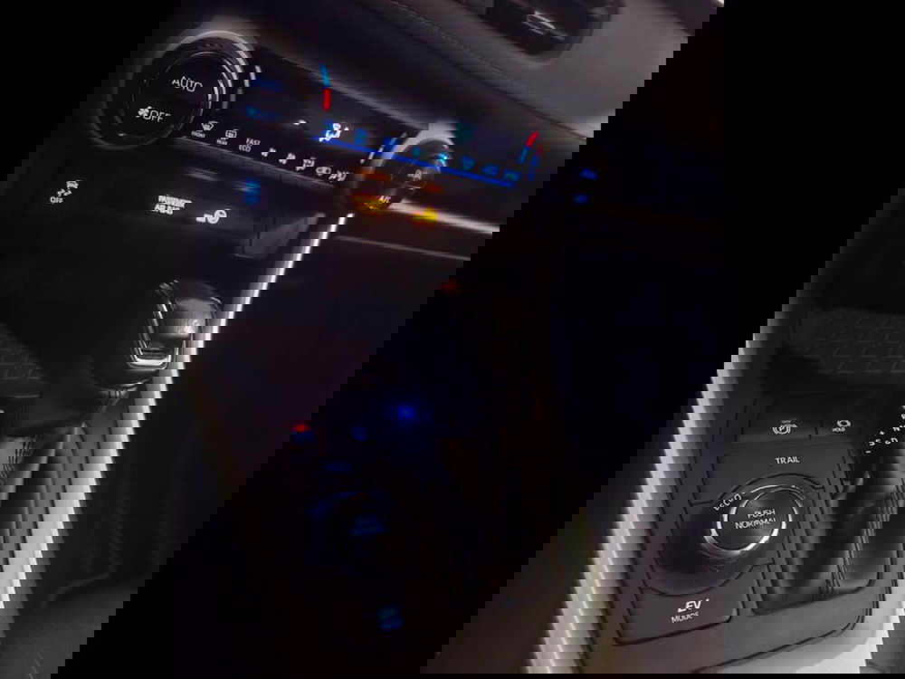 Toyota Rav4 usata a Torino (9)