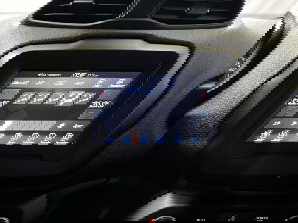 Jeep Renegade usata a Sondrio (18)