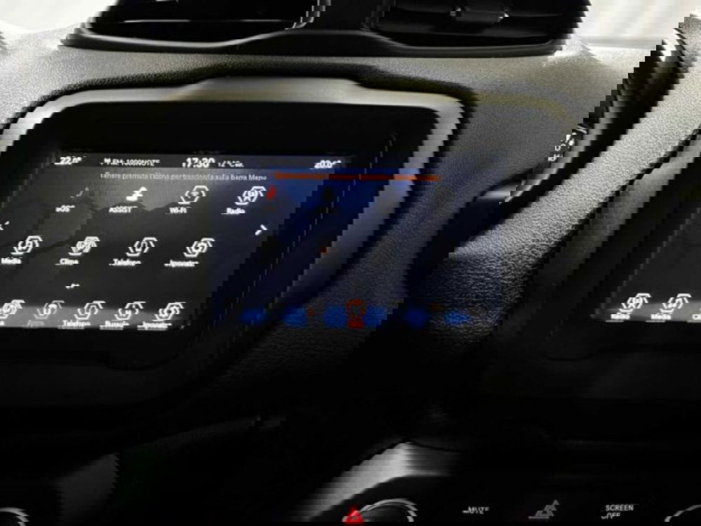 Jeep Renegade usata a Sondrio (19)