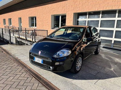 Fiat Punto 1.2 8V 5 porte Lounge del 2014 usata a Montecrestese